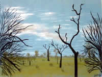 Trees in the Australian Bush